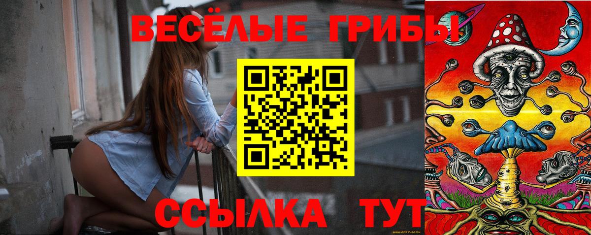 Галлюциногенные грибы MAGIC MUSHROOMS  Псилоцибиновые грибы Cubensis  Карабулак  Вход с VPN 